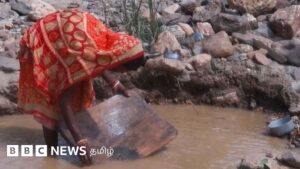 இந்தியாவில் இந்த ஆற்றில் தங்கம் தேடும் மக்கள் தினசரி எவ்வளவு சம்பாதிக்கிறார்கள்?