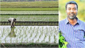 கண்முன்னே அழியும் விவசாயம்! அடுத்த வருஷமும் குறுவை சாகுபடி நடக்காது! வெதர்மேன் சொன்ன உண்மை!