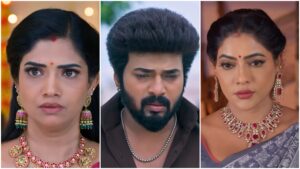 குடும்பத்தையே அழிச்சிடுவேன்.. சந்திரகலாவின் மிரட்டல்… கார்த்திகை தீபத்தில் அடுத்தகட்ட புயல்!