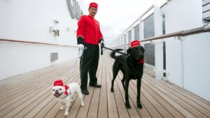 One of the Most Unusual Jobs at Sea? Looking After 24 Cats and Dogs